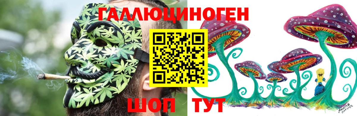 Псилоцибиновые грибы Psilocybe  Вход с VPN  Бирск 